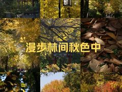 -迎泽公园