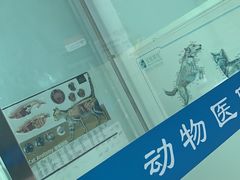 -乐宠动物医院