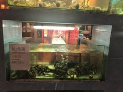 -真浪大家乐海鲜餐馆