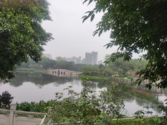 -荔湾湖公园
