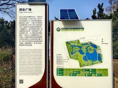 -大兴滨河森林公园