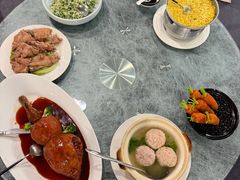 -丁老爷子苏香圆