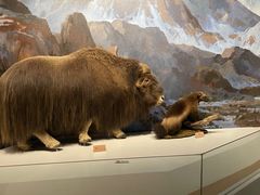 -陕西自然博物馆