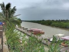 -东寨港红树林旅游区