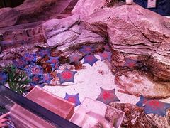 -沈阳海洋探索中心