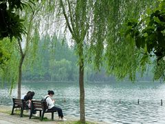 -野蔓果·山野菜(西湖景区·龙井茶田店)