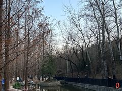 -白水寺森林公园