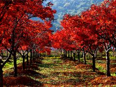 -云漫湖生态度假公园