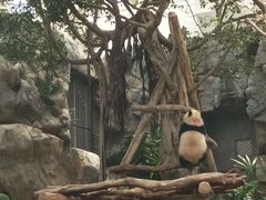 -香港海洋公园