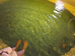 -广东温泉宾馆