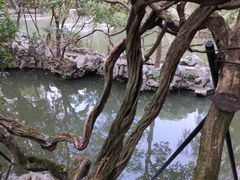 -绮园景区