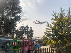 -空港花田景区