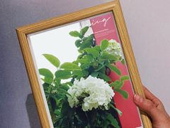 -大龙山(地铁站)