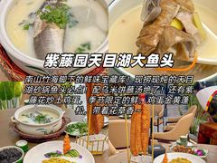 -天目湖山水园