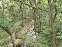 -崂山九水游览区