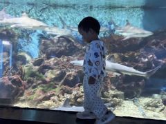 -海合安武汉极地海洋公园