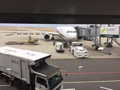 -全日本空输株式会社(上海办事处)