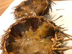 -海胆小馆(东北水饺·春柳店)