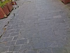 -后柳水乡