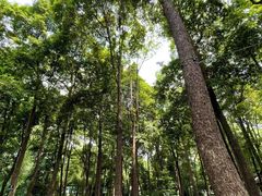 -成都杜甫草堂博物馆
