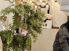 -共舞时光猫咖·狗咖(新街口店)