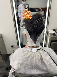 -查克拉造型
