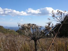 -白草畔自然风景区