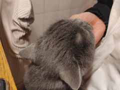 -春笙食堂.丼饭拉面寿司(GOGO新天地店)