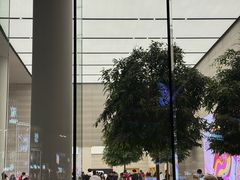 -Apple零售店(济南恒隆广场店)