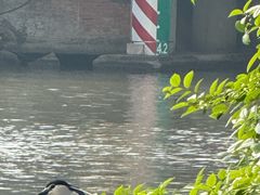 -上海嘉定喜来登酒店