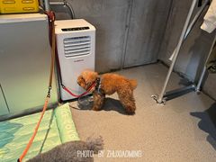 -E+有冰工厂·昆仑寒宫2(五角场店)