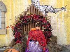 -大连海昌发现王国主题公园