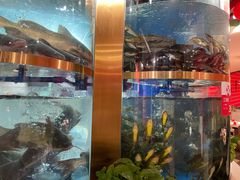 -蜀滋香鲜鱼美蛙火锅(339店)