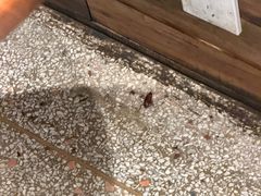 -YUMI芽米·法式烘焙·咖啡(骖鸾路店)