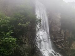 -陕西省红河谷森林公园