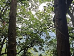 -青城山