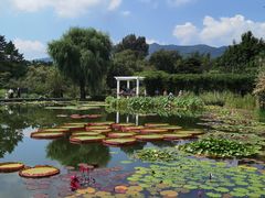 -国家植物园南园