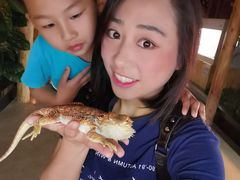 -昆明大悦城未来动物城(螺蛳湾中心店)