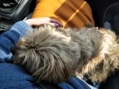 -佳百利宠物(荣乐中路115弄小区店)