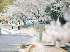 -杭州少年儿童公园