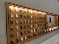 -Apple零售店(玄武湖店)