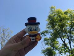 -春花秋色城市公园