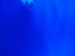 -多彩贵州城极地海洋世界