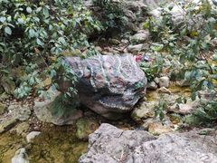 -南海湾森林生态园