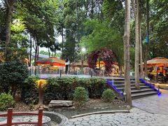 -二荆条·蜀鲜汇城市森林火锅