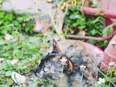 -F518时尚创意园