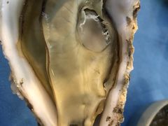 -千岛蚝高压锅生蚝·人参火锅(白云万达店)