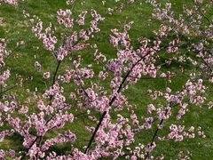 -宁波儿童公园(鄞州区)