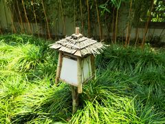 -杭州植物园