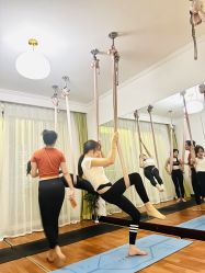 -Yvon yoga 瑜伽·精准体态管理中心